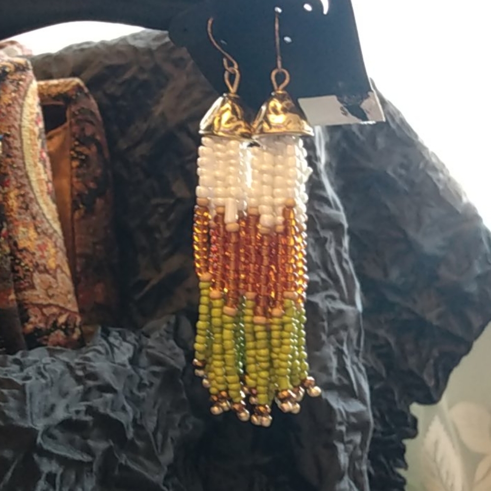 Multiple Strand Sead Bead Tassels Boho Dangling Earrings